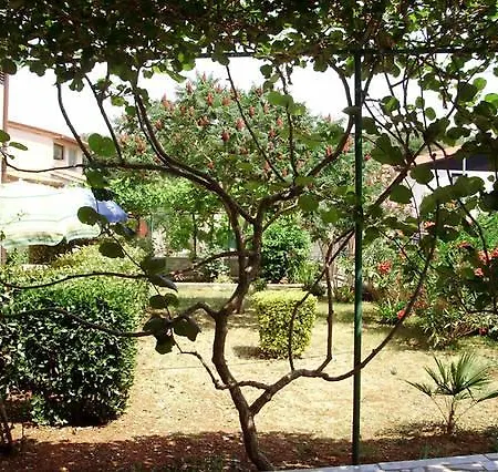 Pavlovic Apartment