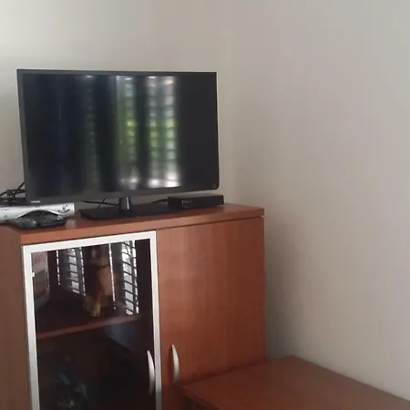 Apartment Pavlovic *